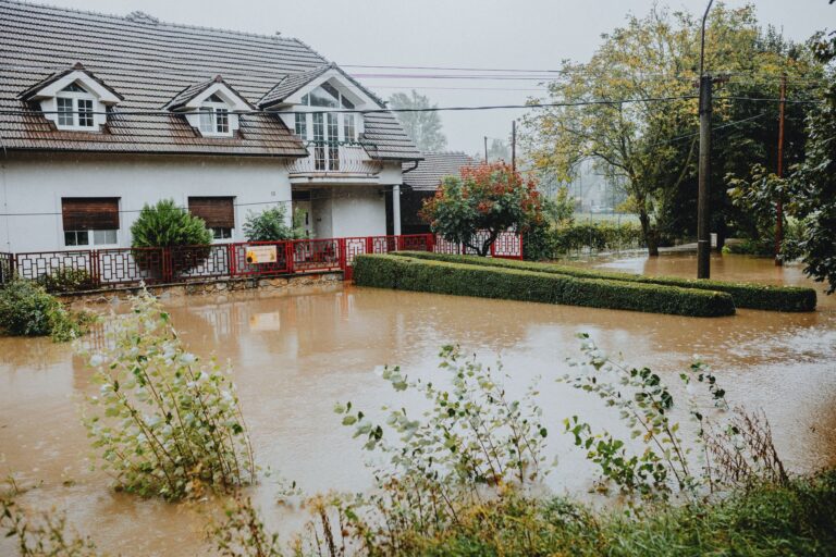 Idaho's Flood Maps Just Changed — And Fire Is Still the Bigger Story 7 idaho flood maps blaine county guide