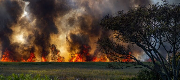 Los Angeles Wildfire Readiness: Your 72-Hour Home Plan 9 los angeles wildfire 72 hour plan